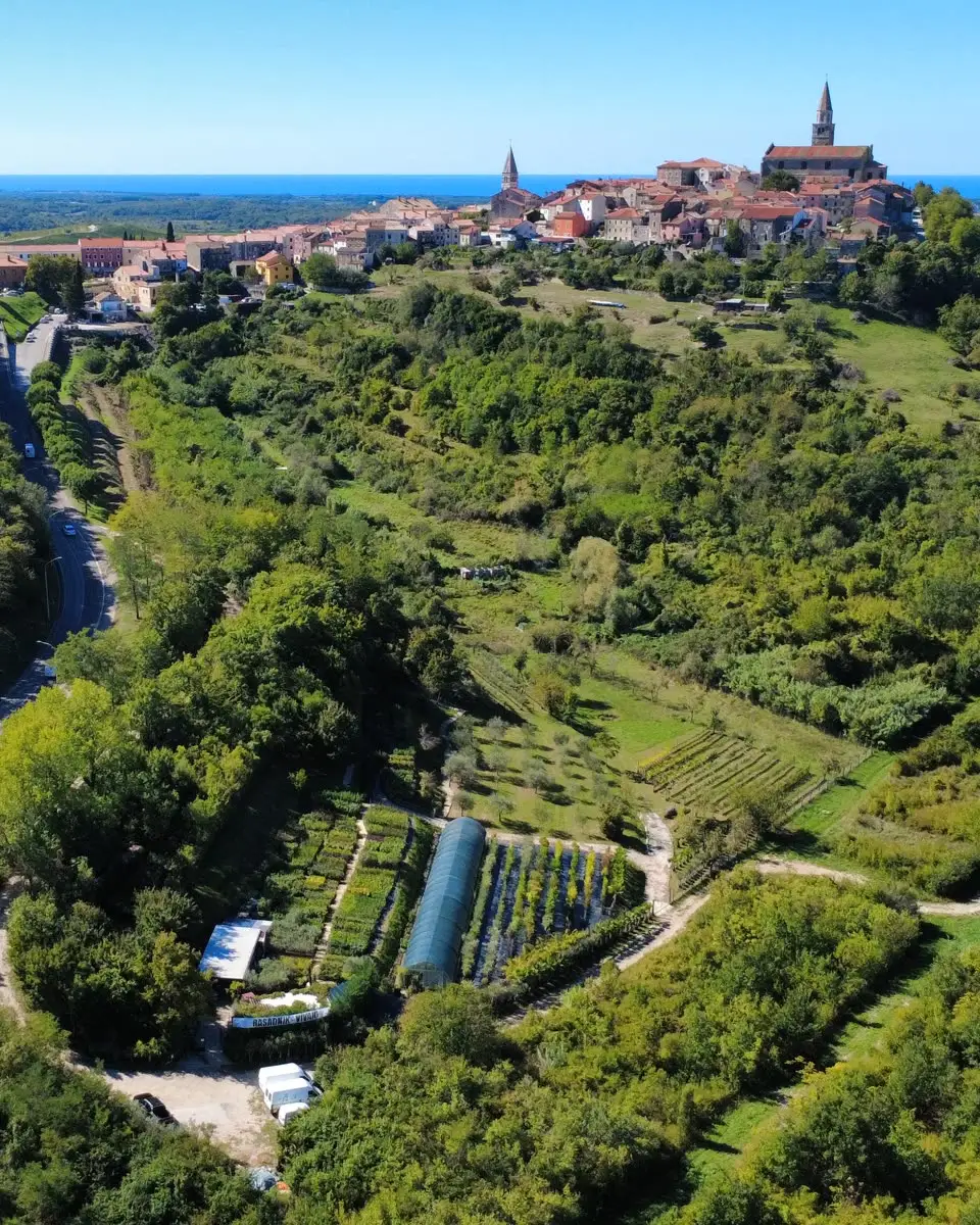 Il vivaio Vrt iN dall'alto, sotto Buie sul colle