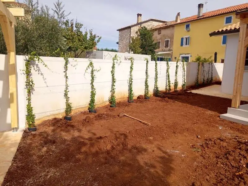 A newly laid-out garden with climbers planted along the wall