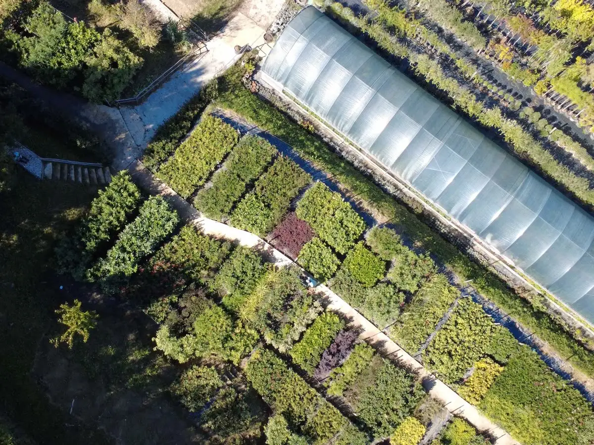 Il vivaio dall'alto: la serra e le aiuole di arbusti