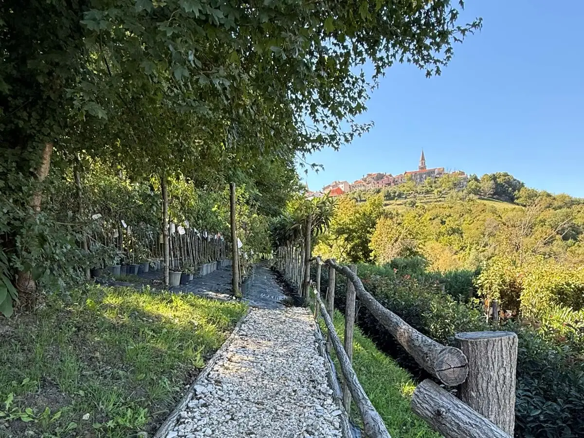 Un vialetto del vivaio con vista su Buie sul colle