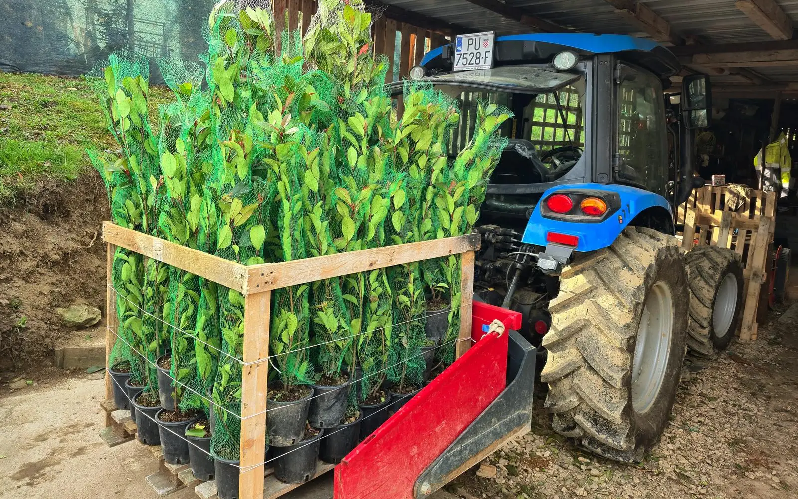 A Vrt iN tractor carrying a pallet of hedging plants