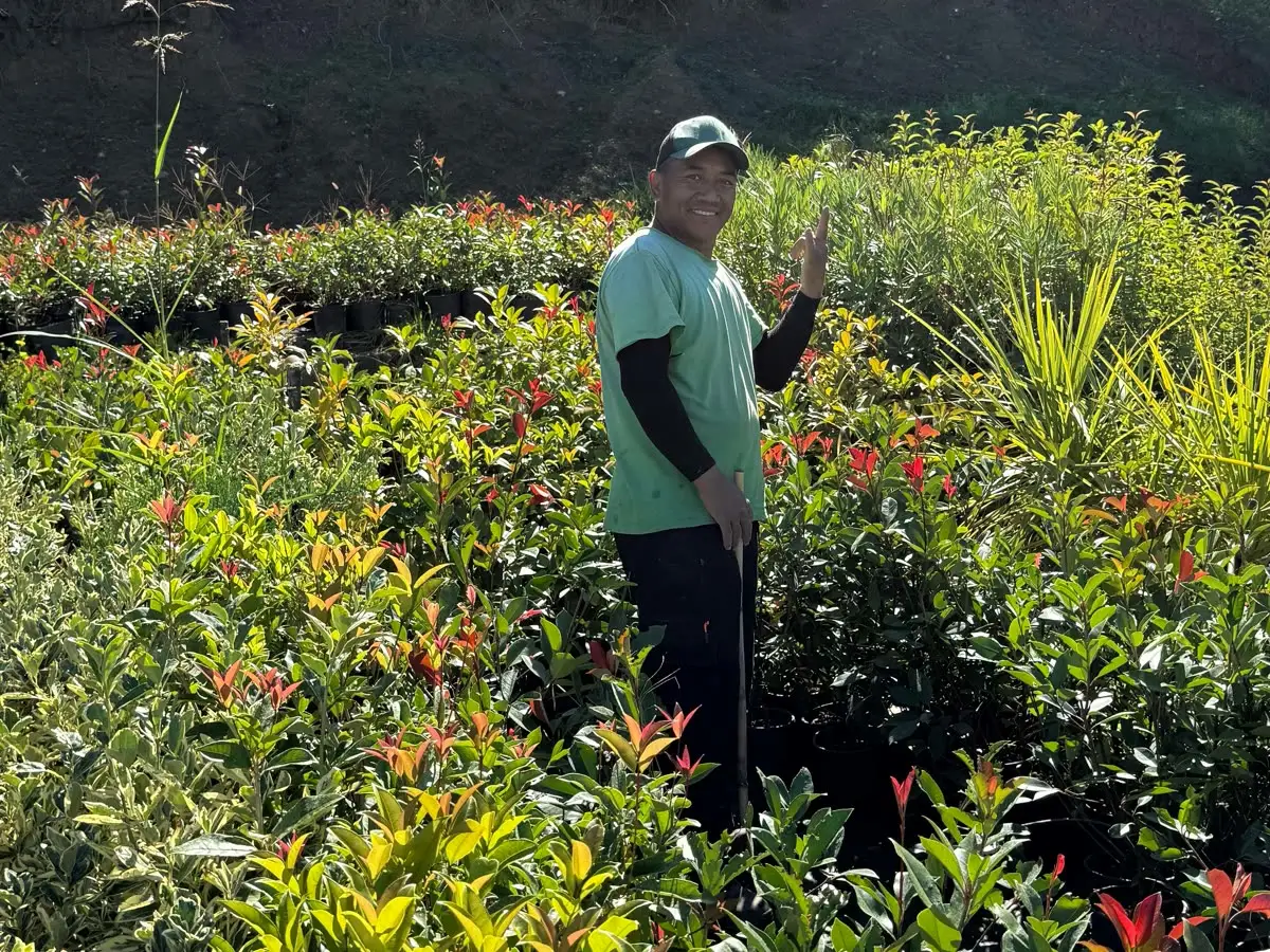 Un giardiniere tra le piantine del vivaio Vrt iN